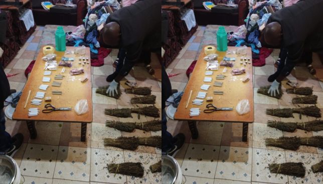 NACADA Nets Two in Machakos Bhang Bust as Crackdown Intensifies