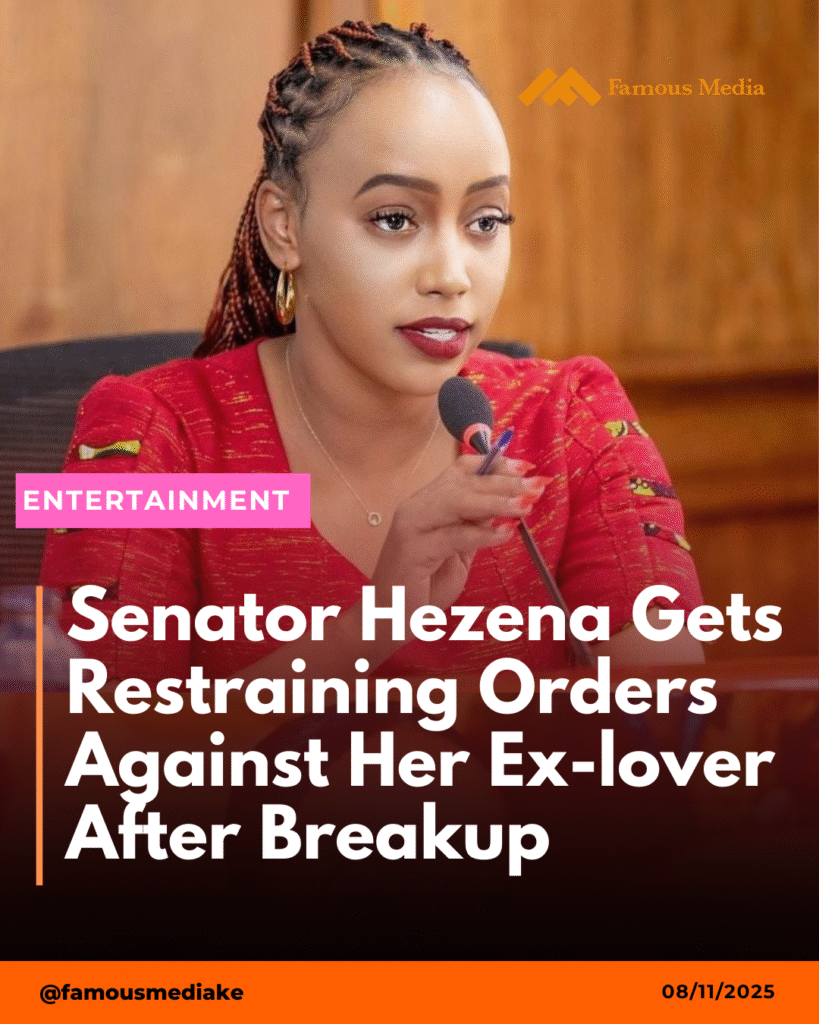 Senator Hezena Obtains Court Protection from Ex-fiancé Over Harassment Claims