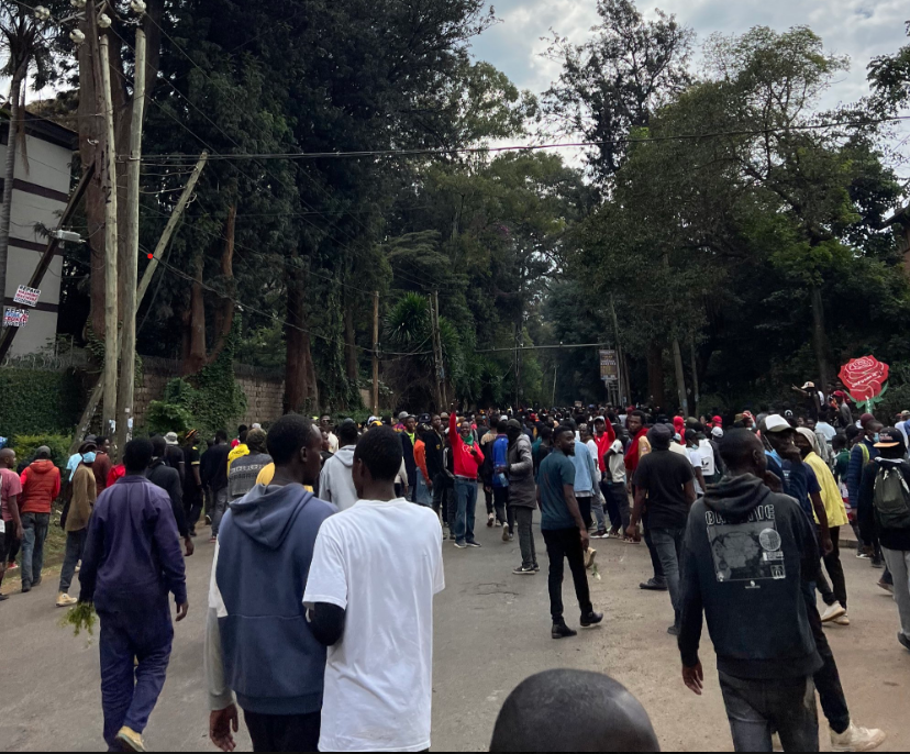 Protesters Breach State House Road in Historic Gen Z-Led March