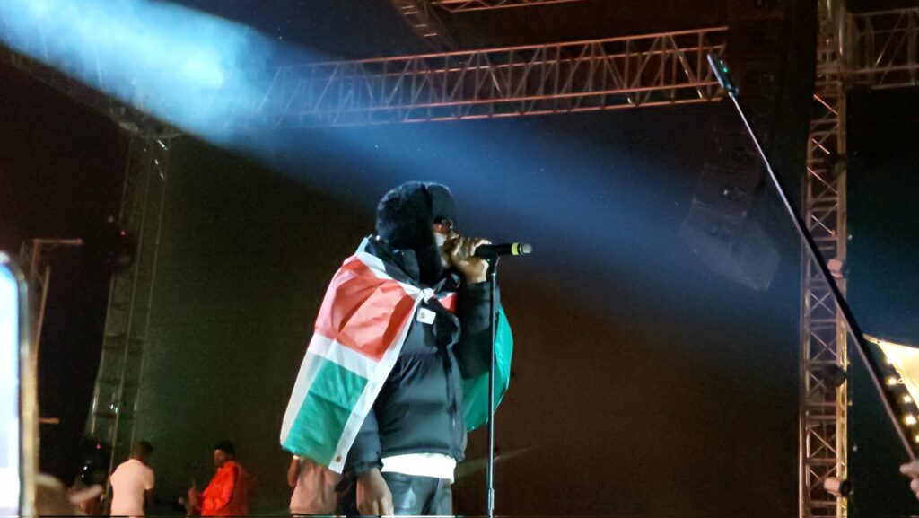 Nigerian singer Rema set to headline upcoming Walker Town concert in Nairobi